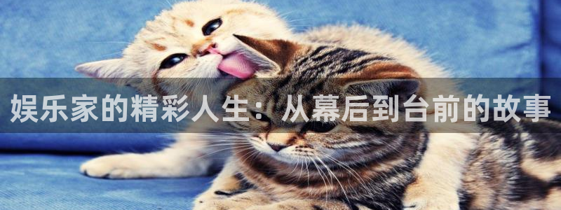 888贵宾会官网