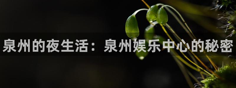 888贵宾会官网