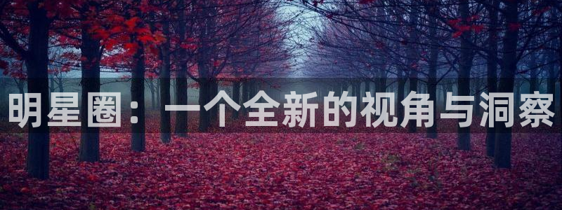 888贵宾会官网